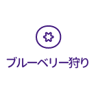 ブルーベリー狩り