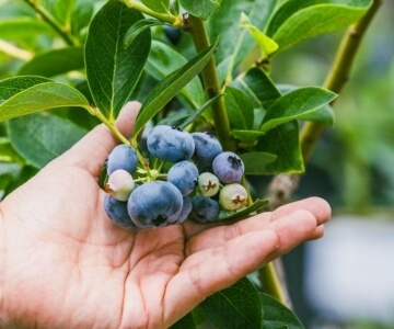 コースイメージ