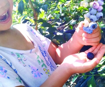 コースイメージ